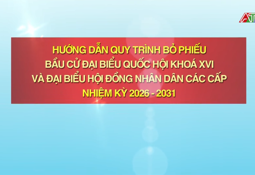 bau cu