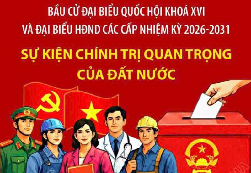 bau cu