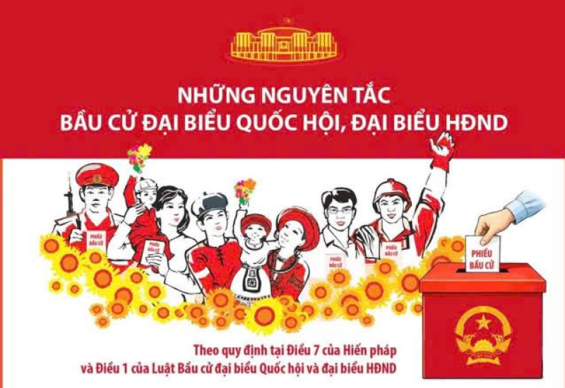 bau cu