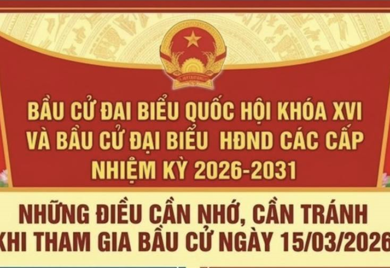 bau cu